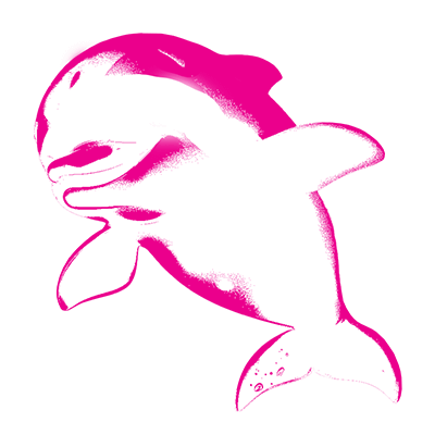 海豚