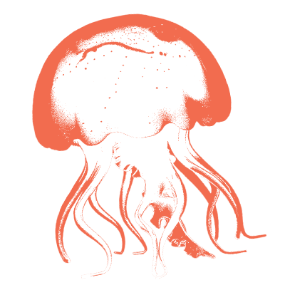 水母