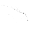 海龜