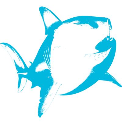 鯊魚